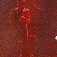 Frank Zappa Viareggio 1984