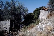 Borgo Terravecchia Giffoni Valle Piana 1984